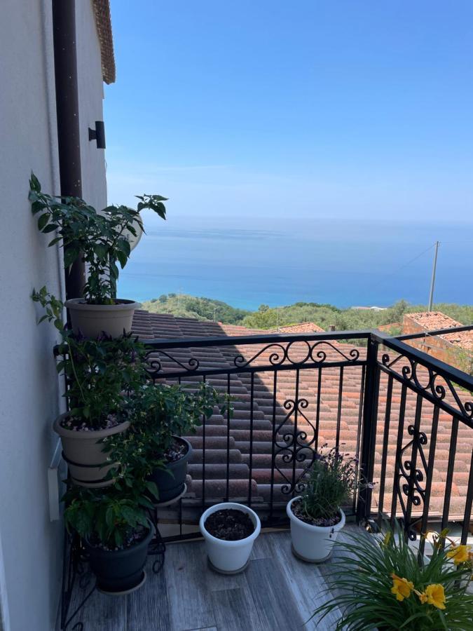 Il Panorama Apartment Buonvicino Exterior photo